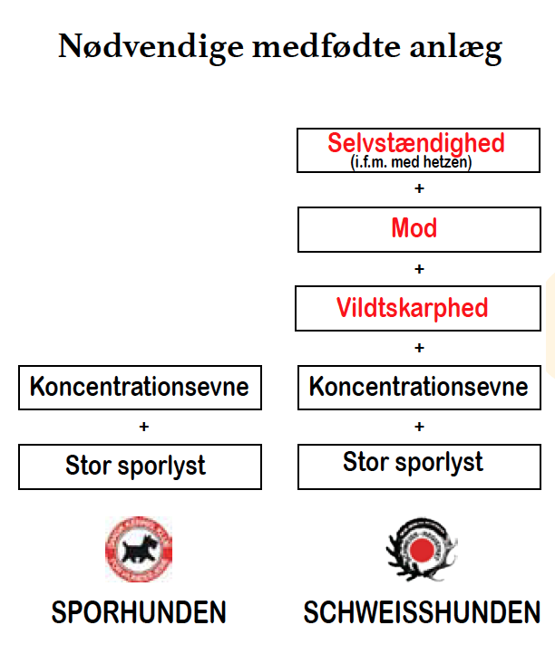 7. Medfødte anlæg