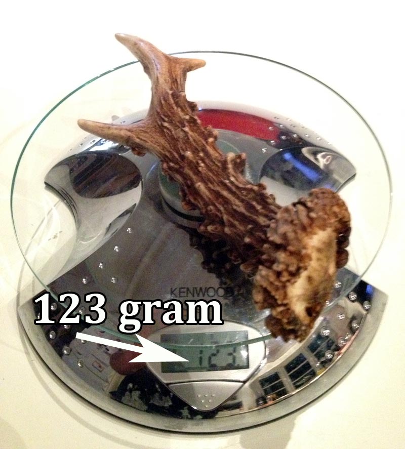 123gram